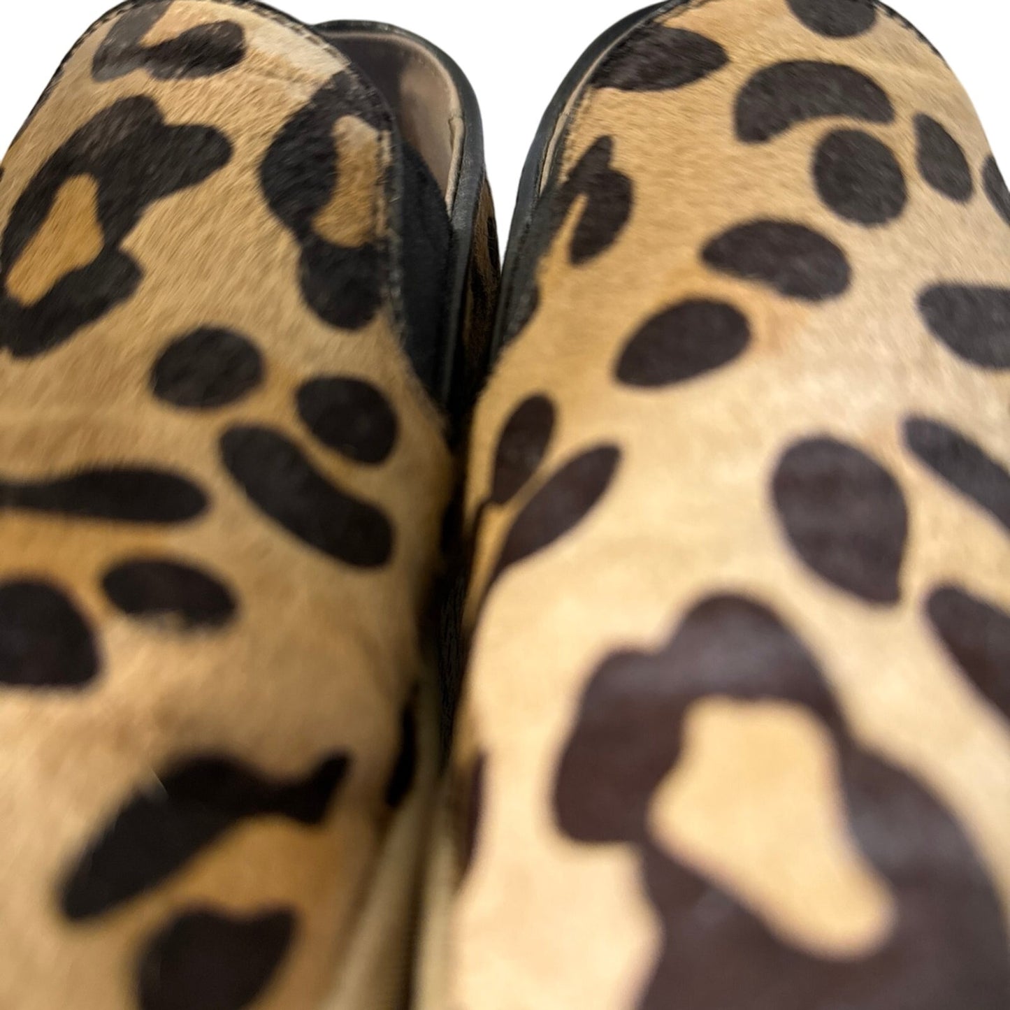 Leopard slip ins sketchers